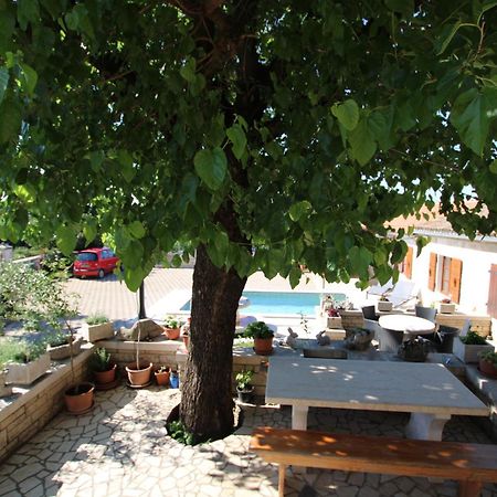 Apartments Vesna With Pool - New! Sveti Lovreč Pazenatički Extérieur photo